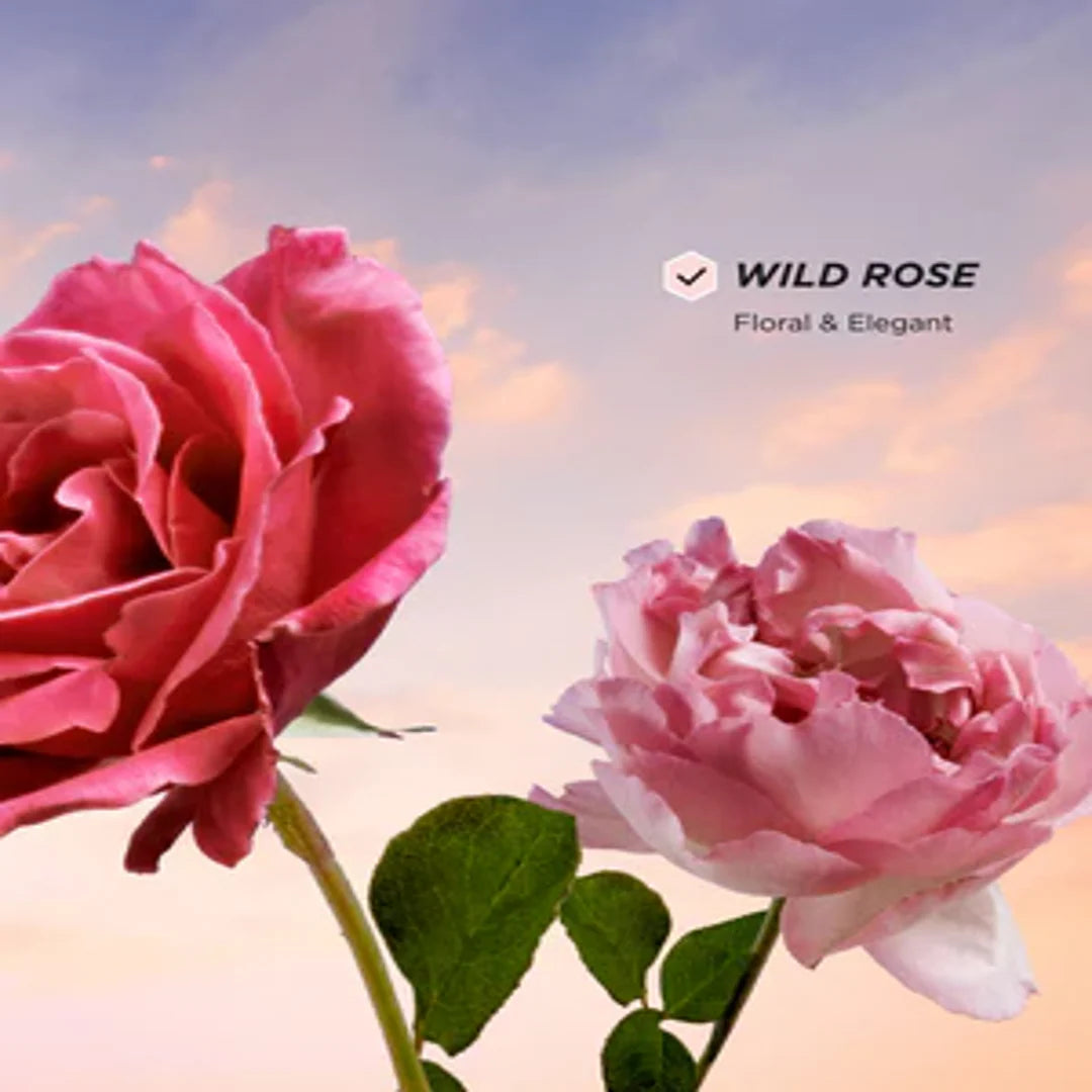 Gisou Honey Infused Hair Perfume Wild Rose