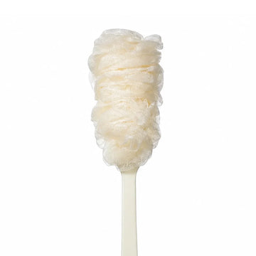 Bleuface Loofah Brush