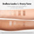 Elroel Blanc Cover Cream Stick V