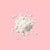 Essence fix & last 14h Make Up Fixing Loose Powder