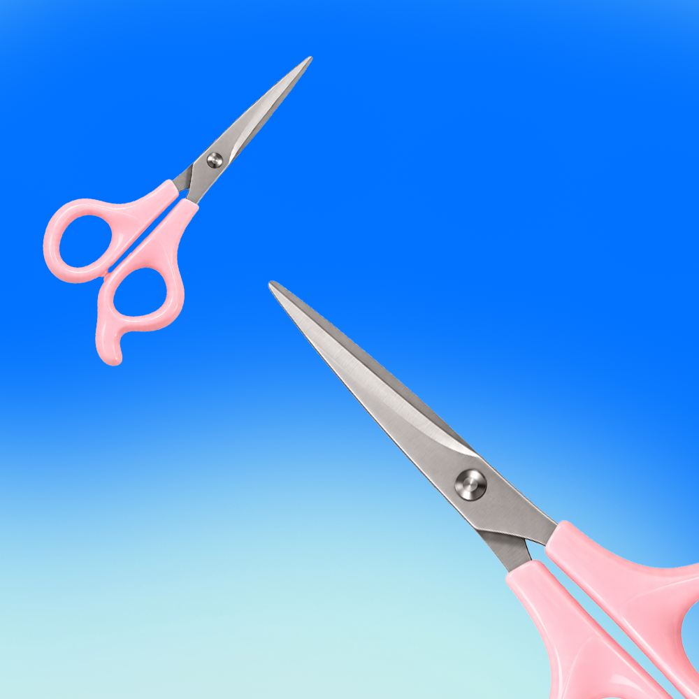 Bleuface Salon Scissors