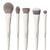 Morphe Portrait Mode 5-Piece Face Brush Set