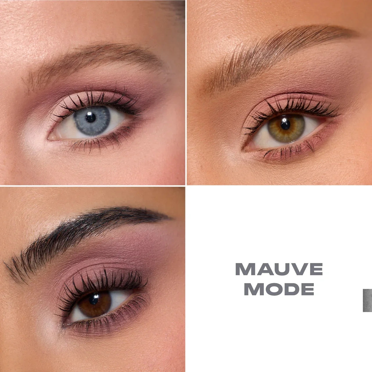 Morphe ChromaPlus 6-Pan Eyeshadow Palettes
