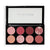 Makeup Revolution Ultra Blush Palette