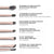 Morphe Eye Shaping Essentials Bamboo & Charcoal-Infused Eye Brush Set
