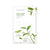 Nature Republic (EU) Real Nature Sheet Mask Green Tea
