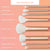 Real Technique The Wanderer Brush Kit