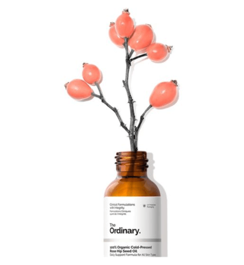 Buy The Ordinary at bagallery