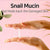 Some By Mi Snail Truecica Miracle Repair Serum 50ml